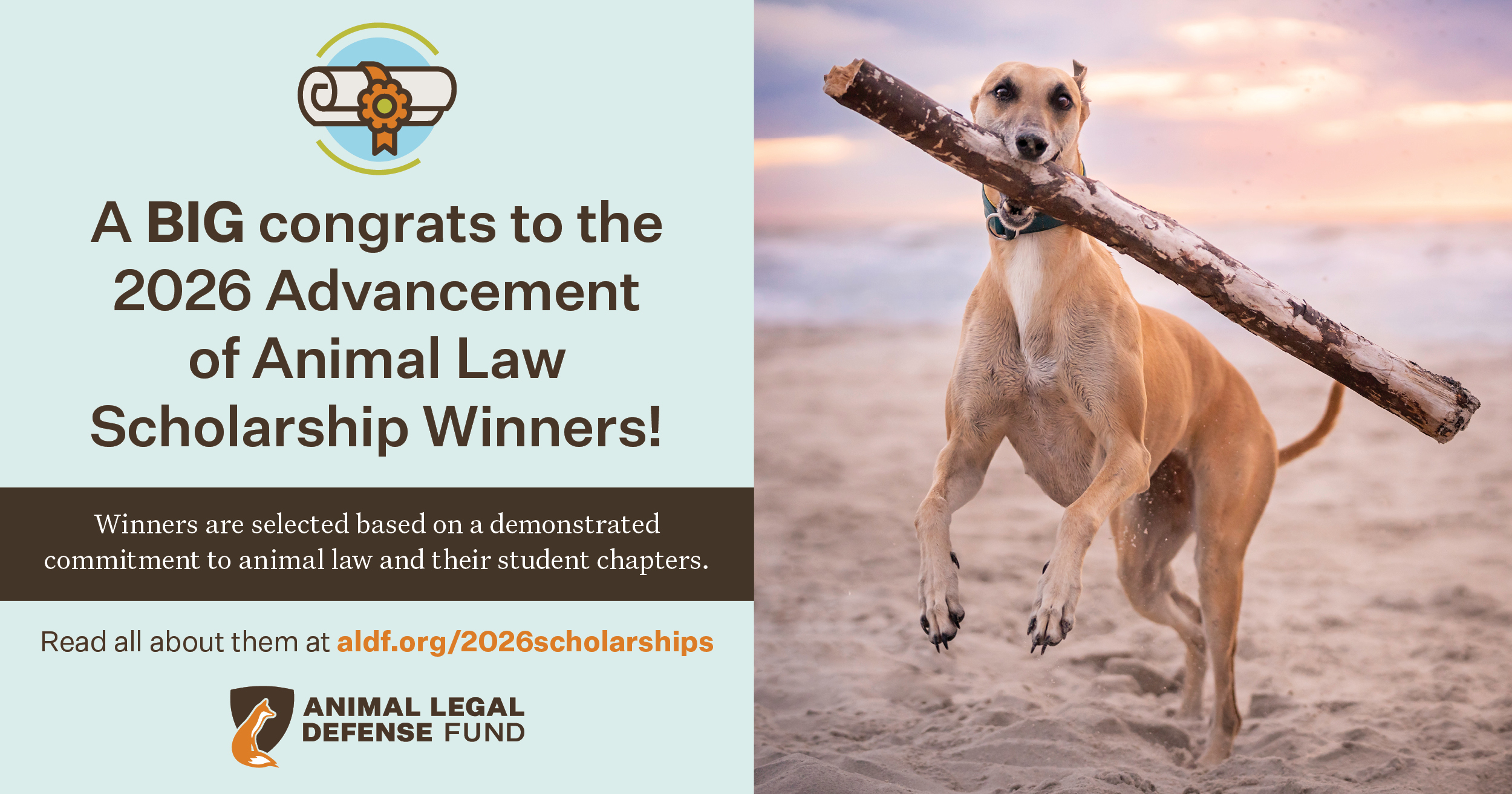 2026 Advancement of Animal Law Scholarship Winners!