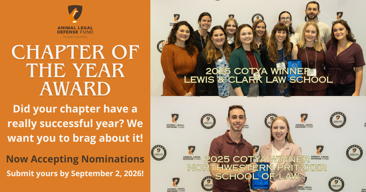 Chapter of the Year – Nominations Open